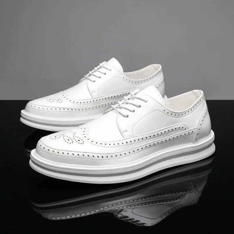 Ashton – Herren-Brogue-Sneaker aus Leder